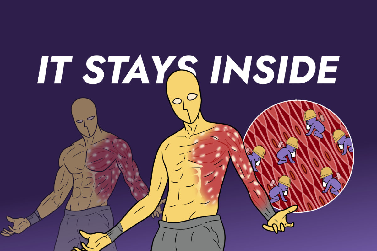 what-happens-when-you-stop-training