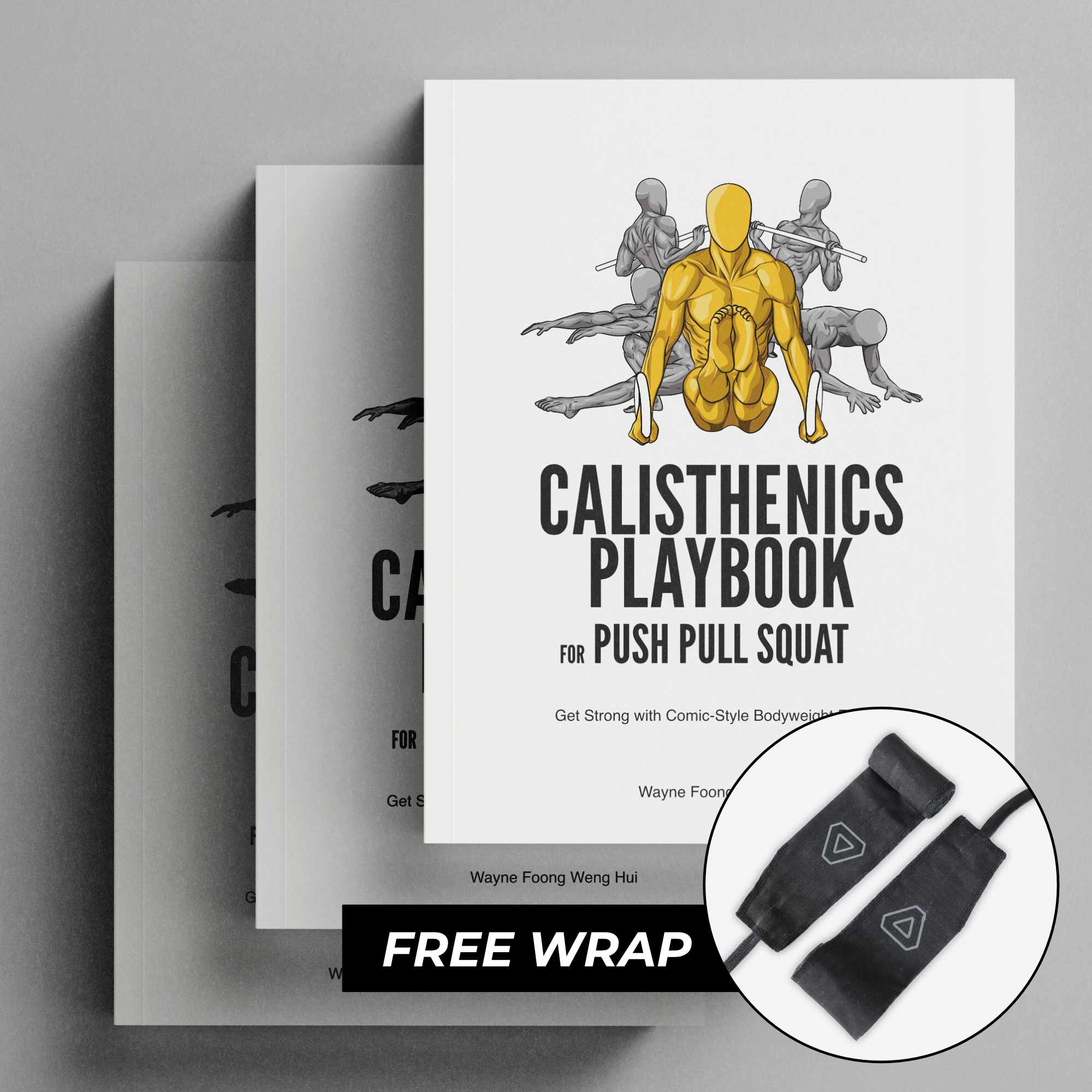 Calisthenics Playbook for Push Pull Squat (Paperback)