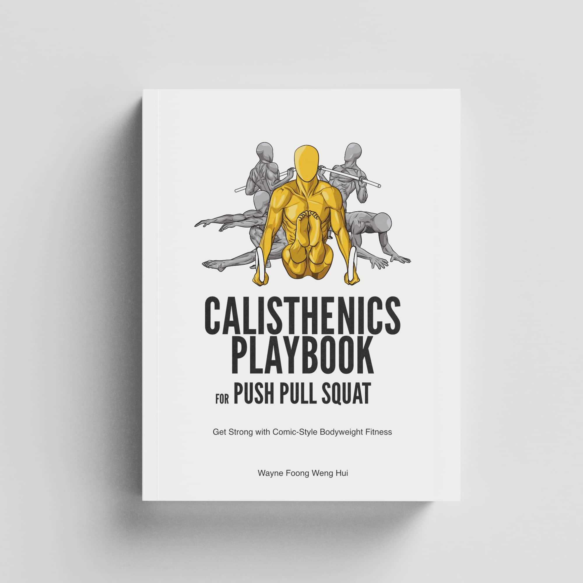 Calisthenics Playbook for Push Pull Squat (Paperback)