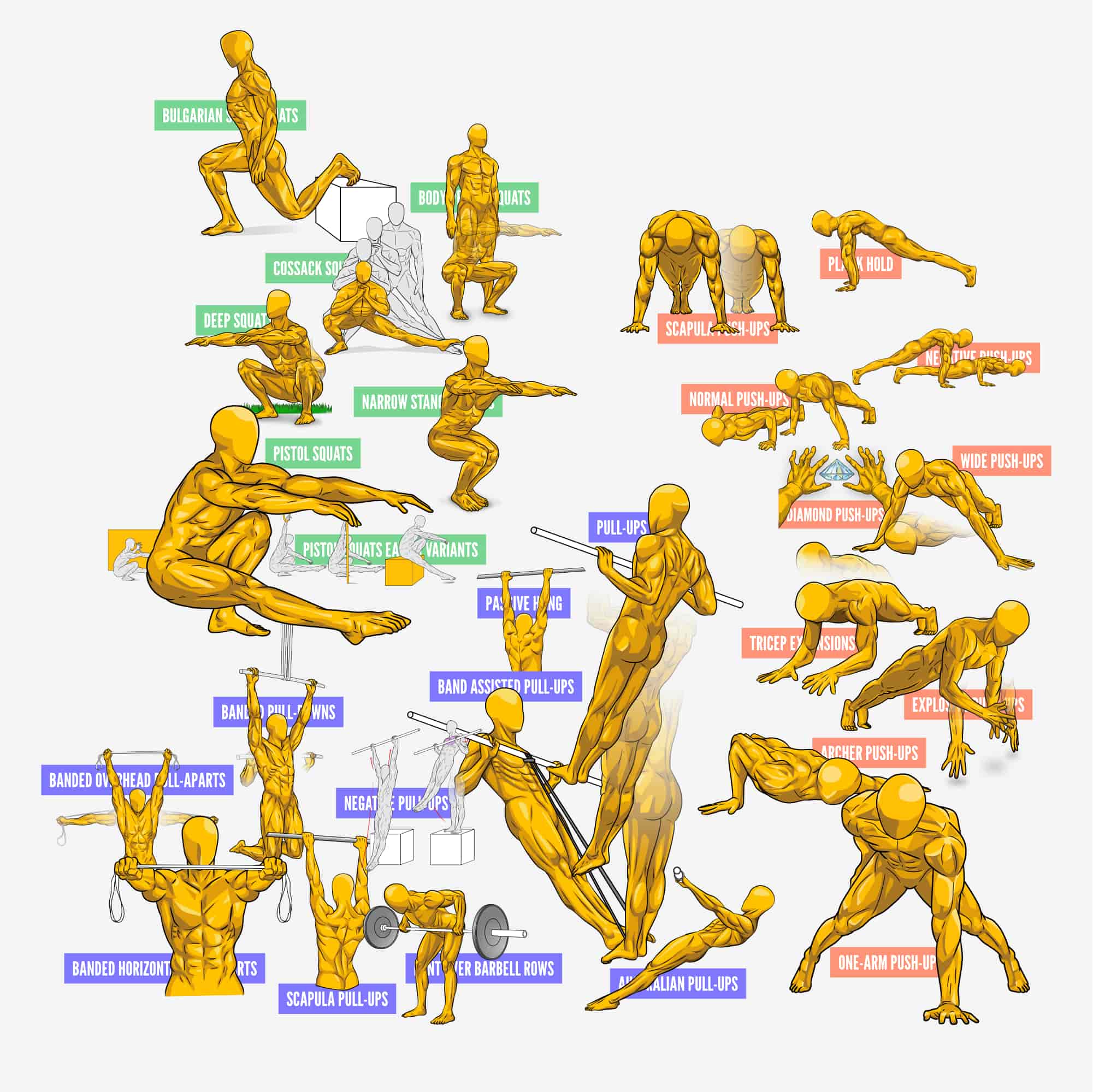 Calisthenics Playbook for Push Pull Squat (Digital book) – Yellow Dude