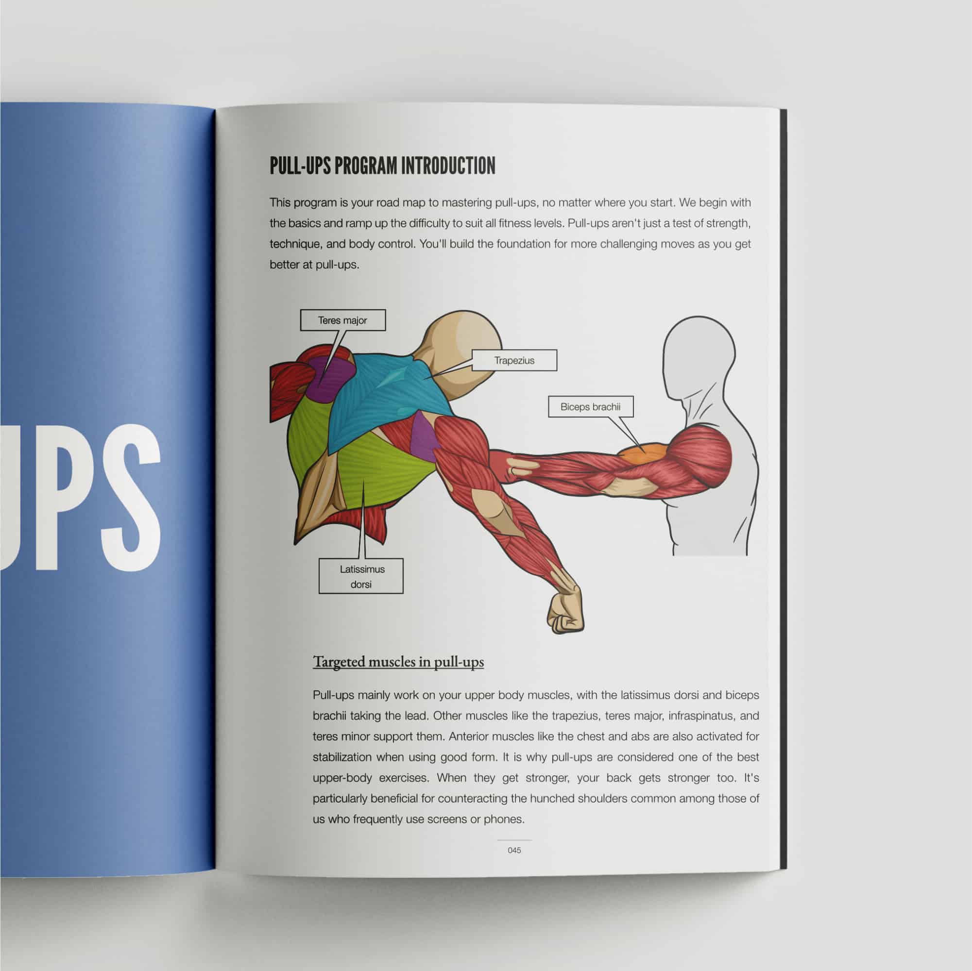 Calisthenics Playbook for Push Pull Squat (Paperback)