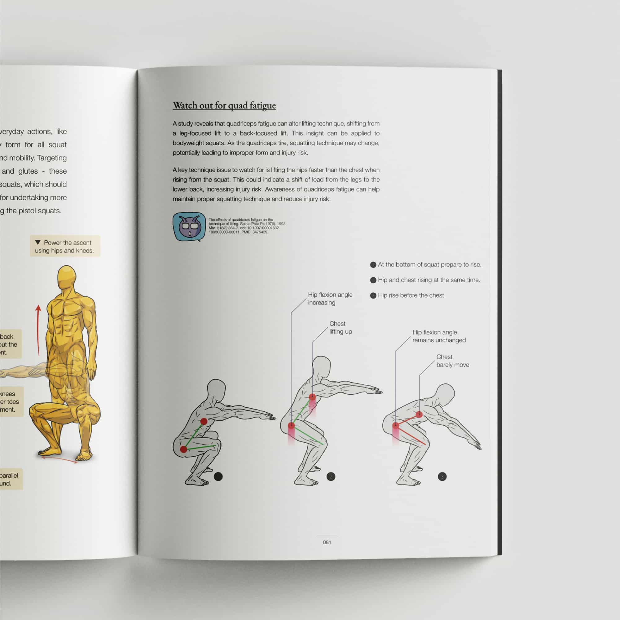 Calisthenics Playbook for Push Pull Squat (Paperback)