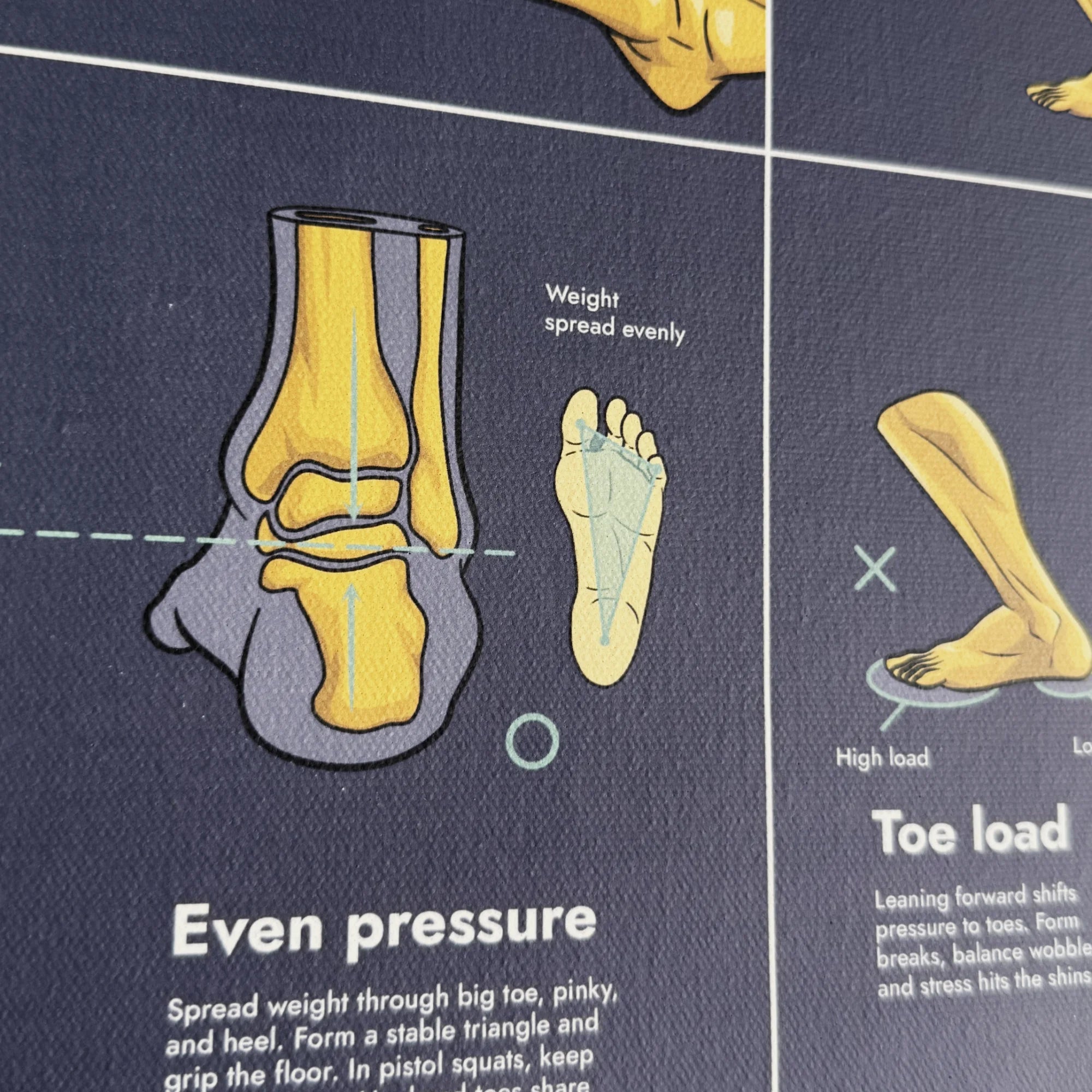 Pistol Squat Cheat Sheet